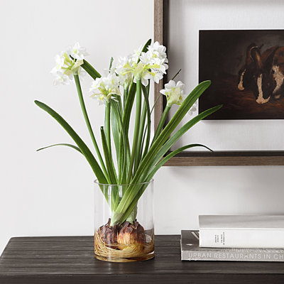 Arrangement Zoel