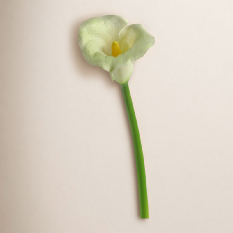 Petite tige de lis Calla