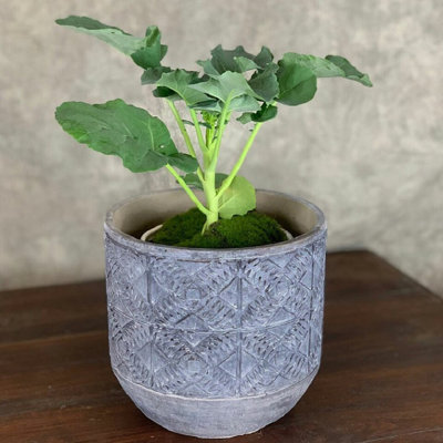 Littell Pot Planter