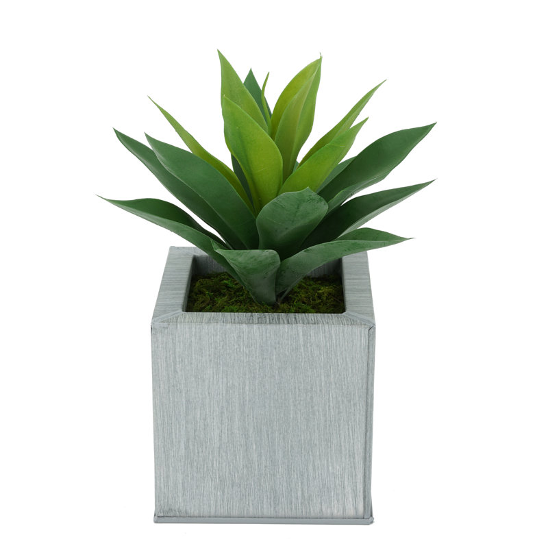 Plante grasse artificielle 7 po en pot, Ferme