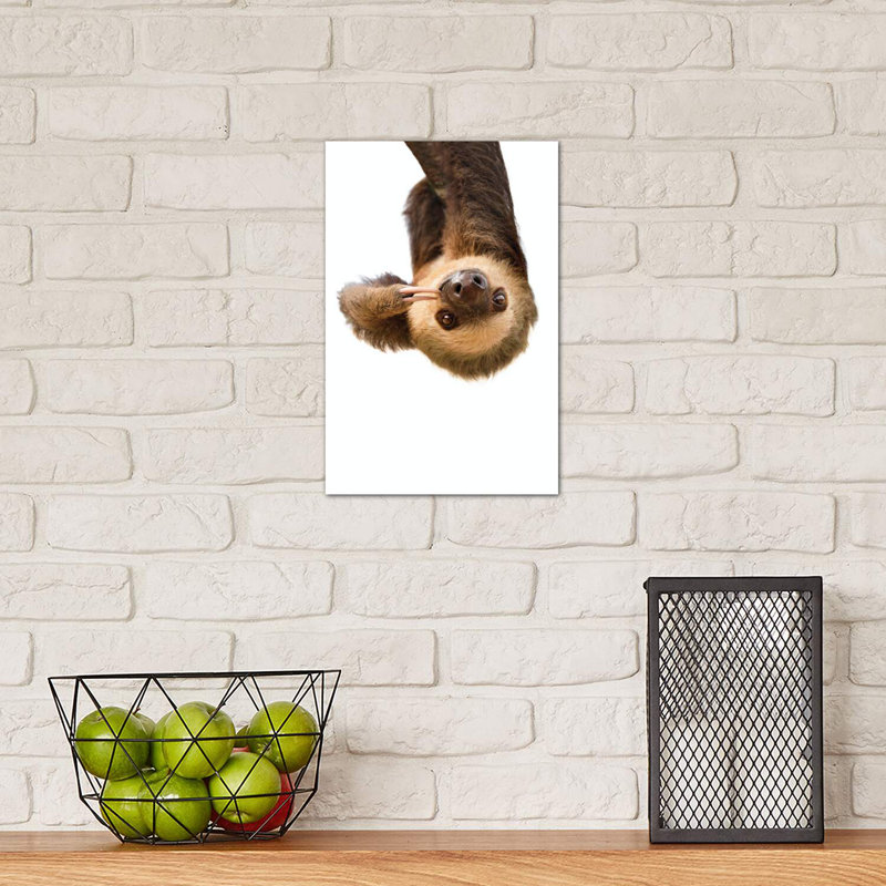 «Sloth» par Sissi & Seb - reproduction de photo, H 12 po x l 8 po x P 0,75 po, Toile tendue, Pas de tapis