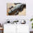 Crowle Alligator-111885882