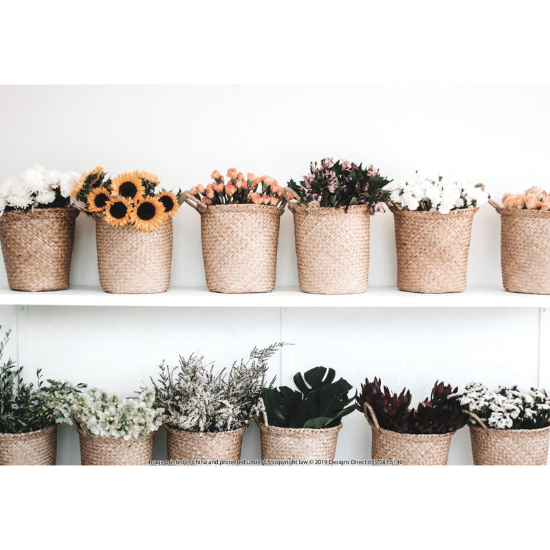 Paniers avec plantes, reproduction sur toile, H 8 po x l 12 po