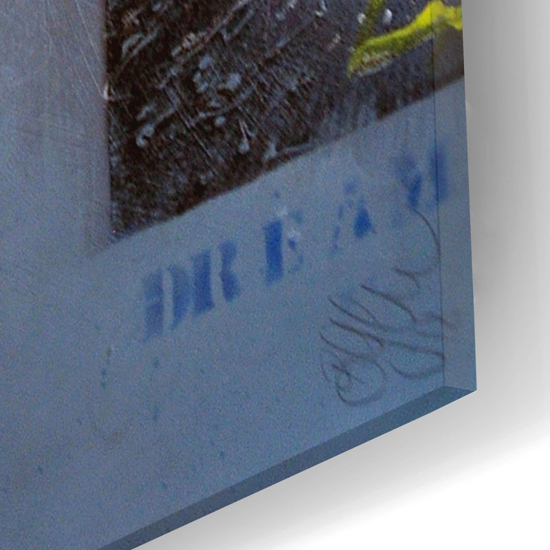 Sur impression plastique / acrylique, H 24 po x l 16 po x P 0,2 po