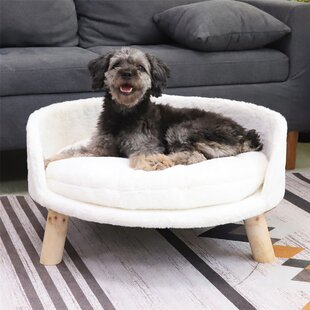 https://assets.wfcdn.com/im/10606040/resize-h310-w310%5Ecompr-r85/1466/146613356/nott-dog-sofa-with-removeable-padded-cushion.jpg