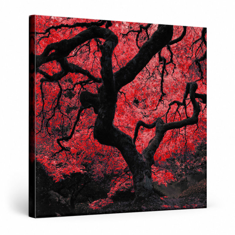 Érable japonais rouge - art mural carré sur toile, 32" W x 32" H