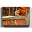 Squirrel Autumn Forest Photographic - Wrapped Canvas-19093502