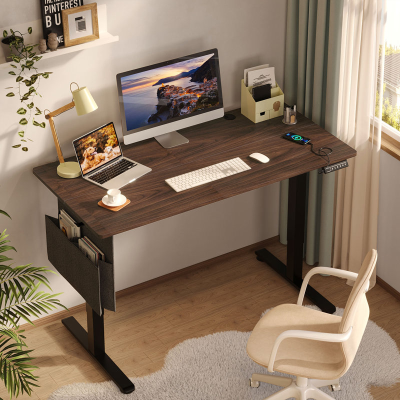Seilles 55.1" W Height Adjustable Standing Desk, Black