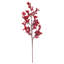 Vaporisateur de baies rouges de 24 po Vickerman. Chaque sac contient trois vaporisateurs.
