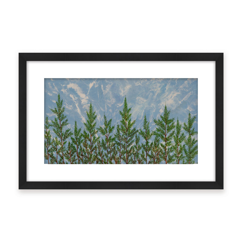 Nature Inspired "Reaching for the Sky" Canvas Wall Art By , 30" H x 40" W, Framed Matted Print, Gold
