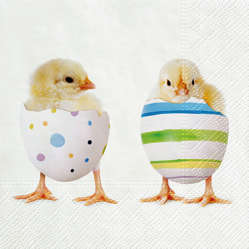 Serviettes jetables en papier