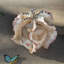 Vase de table Beige Modern Novelty-1178443765