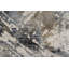 Tapis crème / gris Romine-1505728447