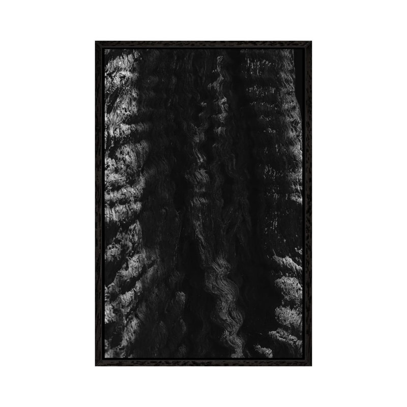 California Redwood Tree by Bethany Young - Print on Canvas, 66.04cm H x 45.72cm W x 3.81cm D, Black Framed