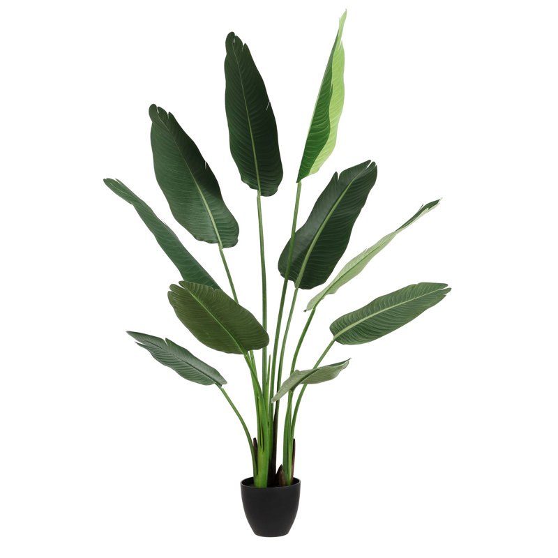 Faux Banana 63" Potted Leaves