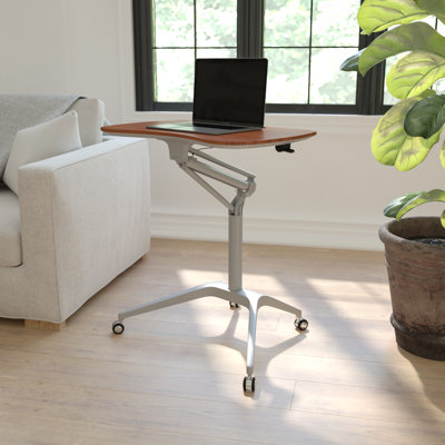 Mobile Sit-Down, Stand-Up Ergonomic Computer Desk
