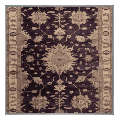 Machine Washable Overdyed Brown Area Rug