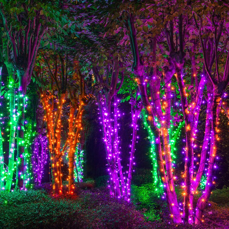 orange purple and green halloween lights