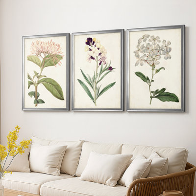 Antique Botanical Collection VI - Toile tendue avec châssis sur mesure - 3 pièces