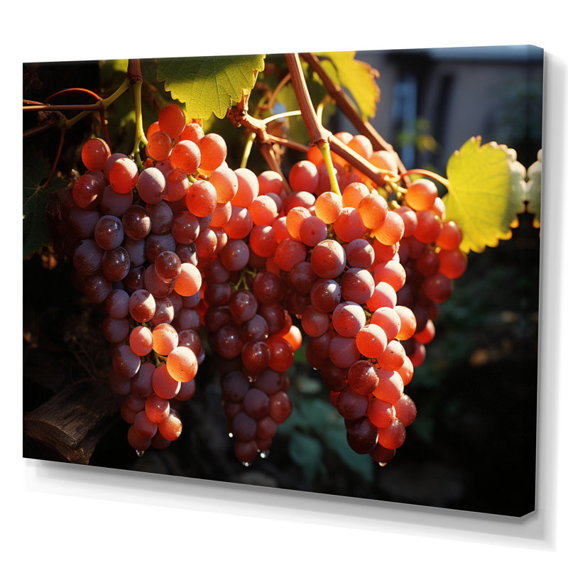 Scenic Vineyard Golden Harvest, H 34 po x l 44 po x P 1,5 po, Toile tendue