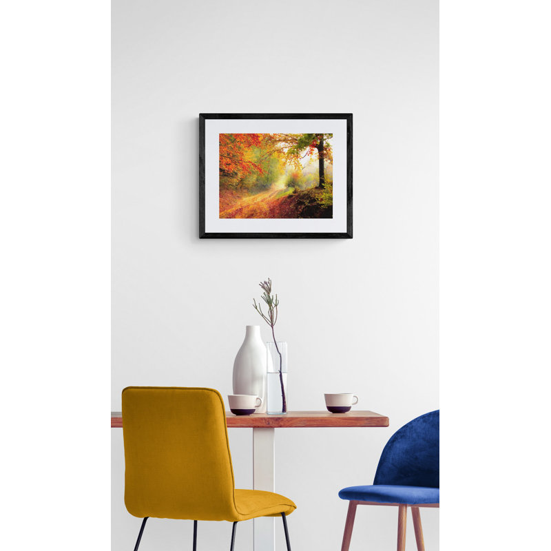 Autumn Forest Edge II Print by Denise Dundon, 16" H x 20" W
