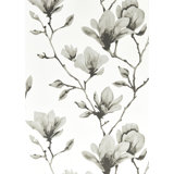 Lotus Wallpaper