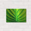 «Green Design 2» par PhotoINC Studio