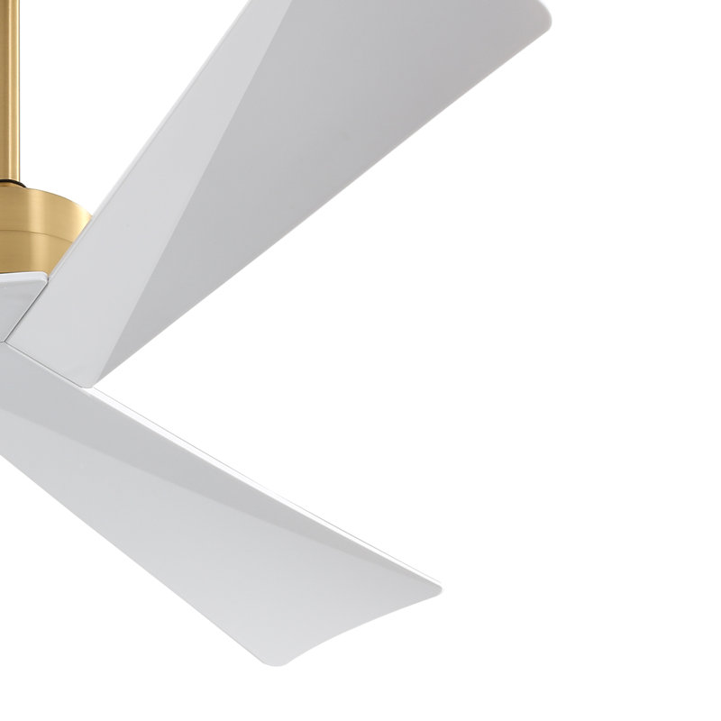 Breeleigh 52 "DC Ceiling Fan with Remote, Indoor Ceiling Fan, 3 ABS Blades, Gold with White Blades