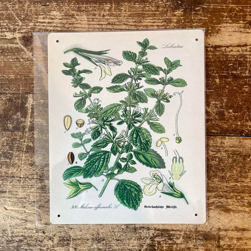 Plants & Flowers Wall Decor on Metal, 25cm H x 20cm W