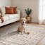 Oriental Area Rug-2119031432