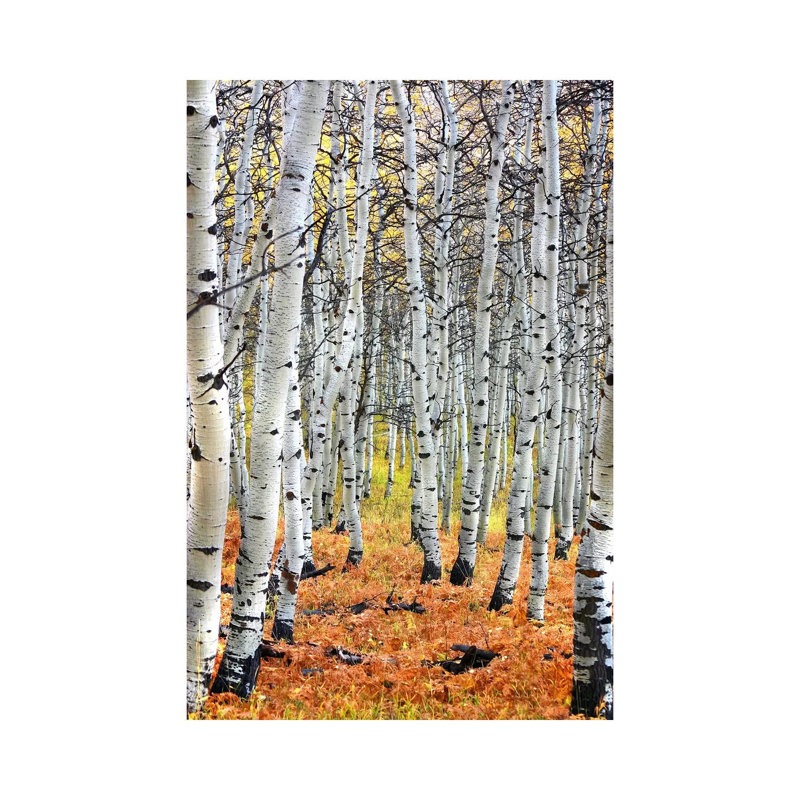 Autumn In Aspen - Wrapped Canvas Print, 66.04 cm H x 45.72 cm W x 1.91 cm D