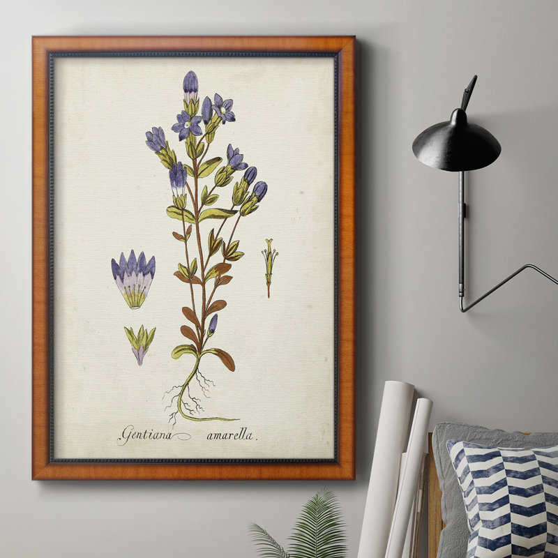 Toile encadrée de qualité supérieure Antique Herb Botanical II - prête à être accrochée, H 27 po x l 18 po
