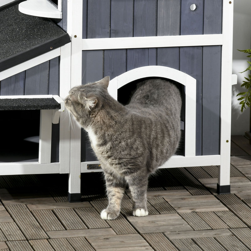 Deangello Cat House