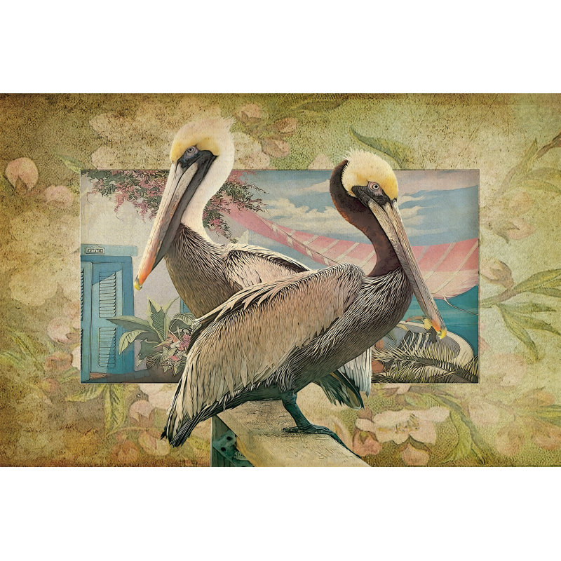 Pelican Paradise IV - Wrapped Canvas Print, 30cm H x 46cm W x 3.8cm D