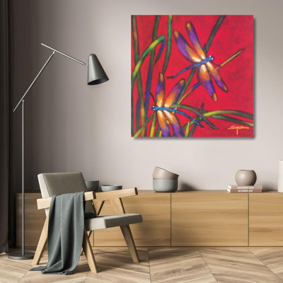 Dragonfly Dreams IMA-I65