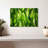 Harnek Backlit Green Leaves-107720137