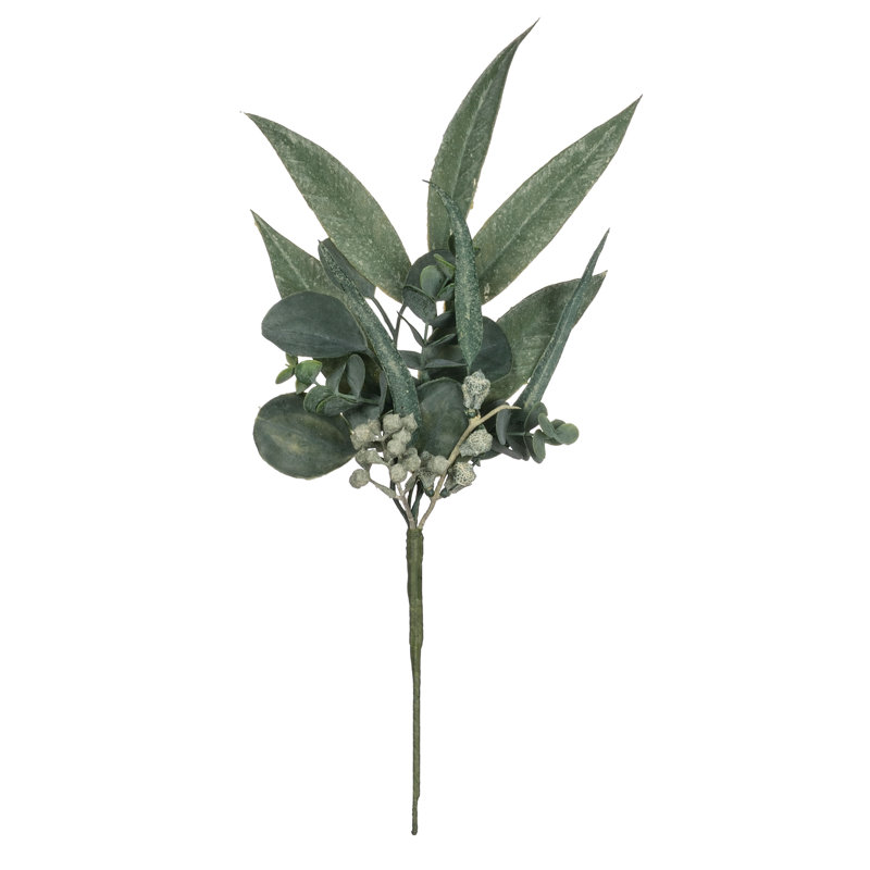 Choix d'eucalyptus Kannon California