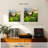 Alvord Borneo Rainforest-111892345
