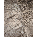 Artist Vision Hand Knotted Area Rug in Gray/Brown
