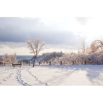 Winter Landscape by Elenathewise - Wrapped Canvas Print