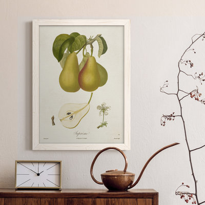 Toile encadrée de qualité supérieure Vintage Pears V - prête à être accrochée