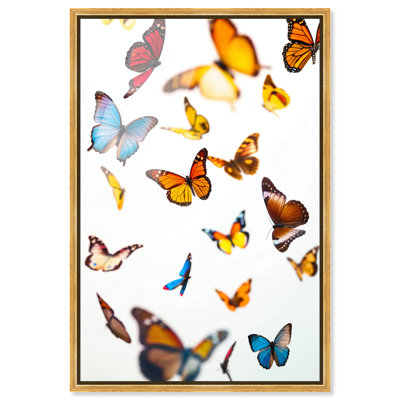 Décoration murale encadrée «Wings of Color II» par Art Remedy, cadre doré, 24 x 36