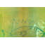 Parvez Taj - Wrapped Canvas Print-16673993
