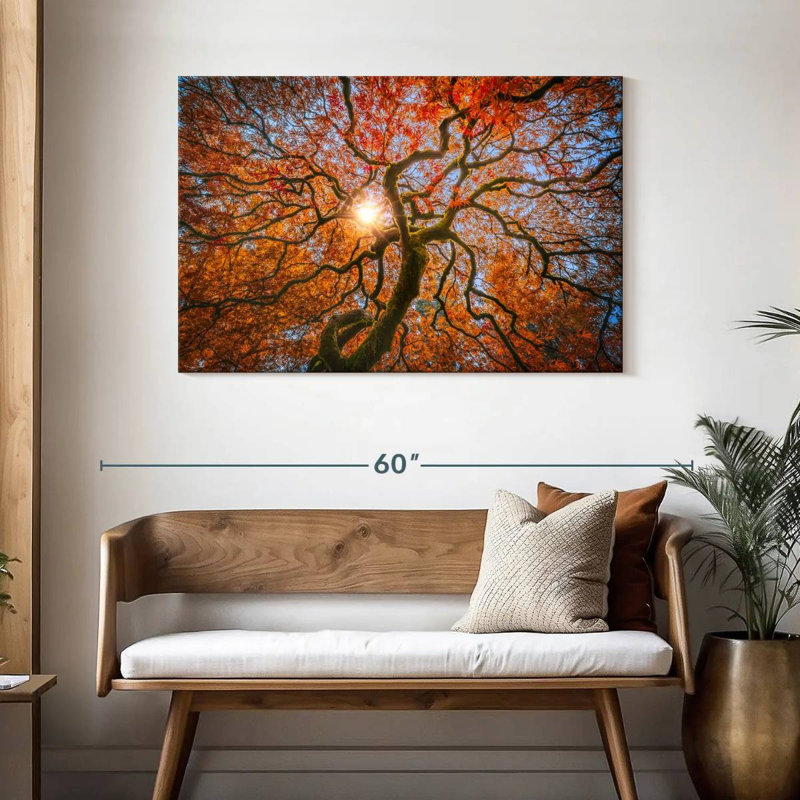 Harnek Japanese Maple Tree, 30" H x 45" W