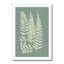 Ferns On Sage III by Vision Studio - Painting on Canvas-280359565-280359561