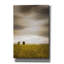 «Eliya Across The Wheat Field On Canvas» par Don Schwartz, reproduction-88591204