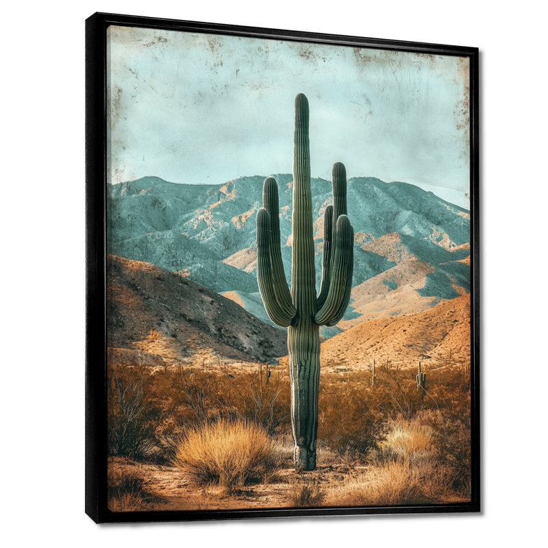 Marqueeta Cactus And The Desert Hills II - Cactus, reproductions encadrées, H 40 po x l 30 po, Noir