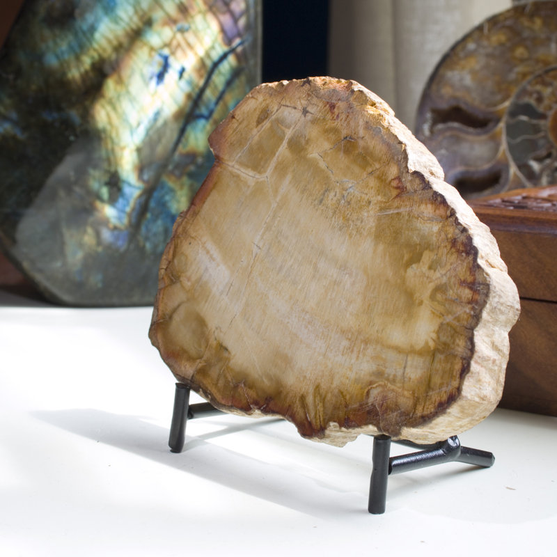 Crescantia Crystal