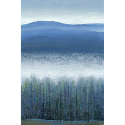 Valley Fog II by Tim OToole - Wrapped Canvas Art Prints