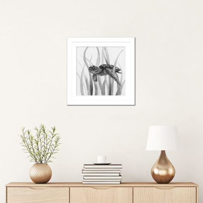 Turtle in Seagrass II - Black & White II